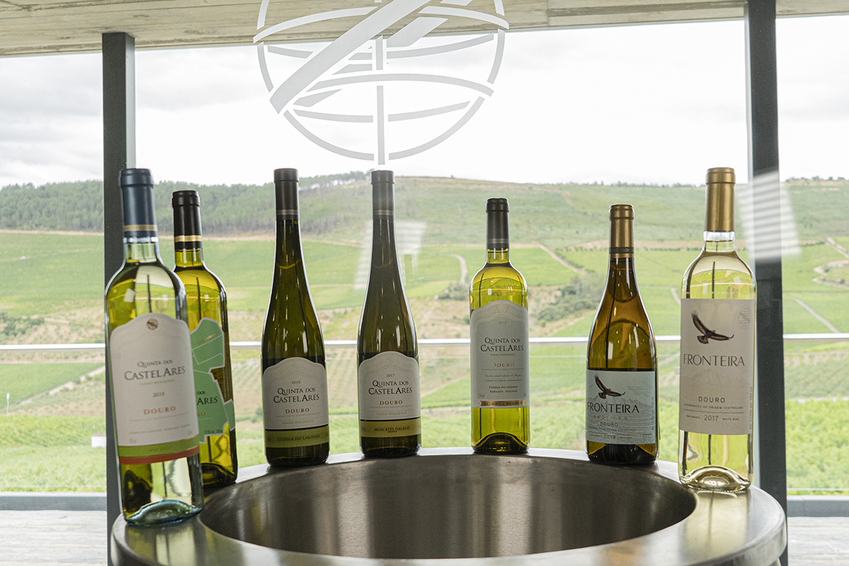 A nossa gama de Vinhos Brancos I Quinta dos Castelares - Ep. 8