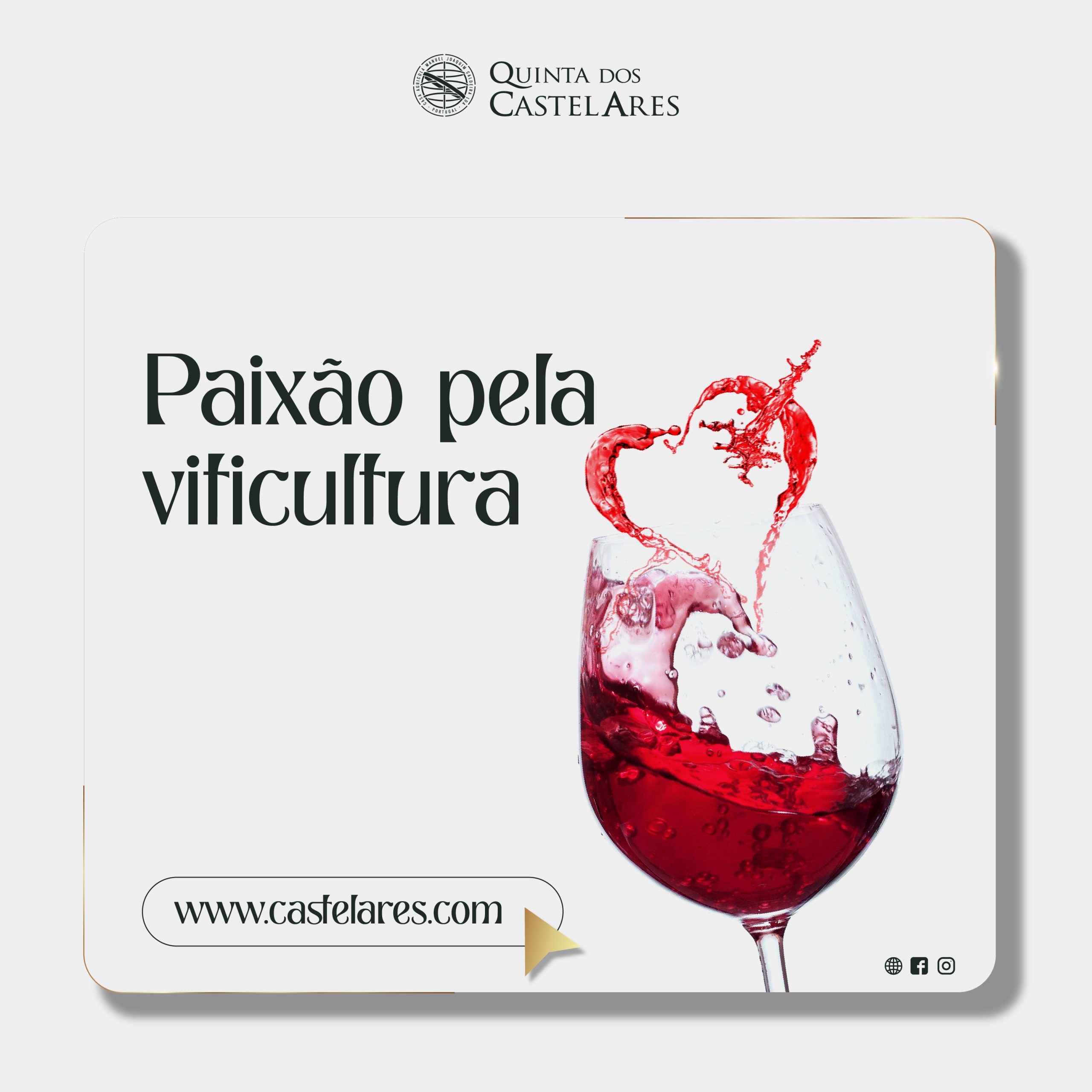Paixão pela viticultura